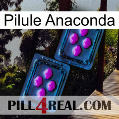 Anaconda Pill 03